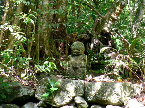 81- Un tiki enfoui dans la vegetation 